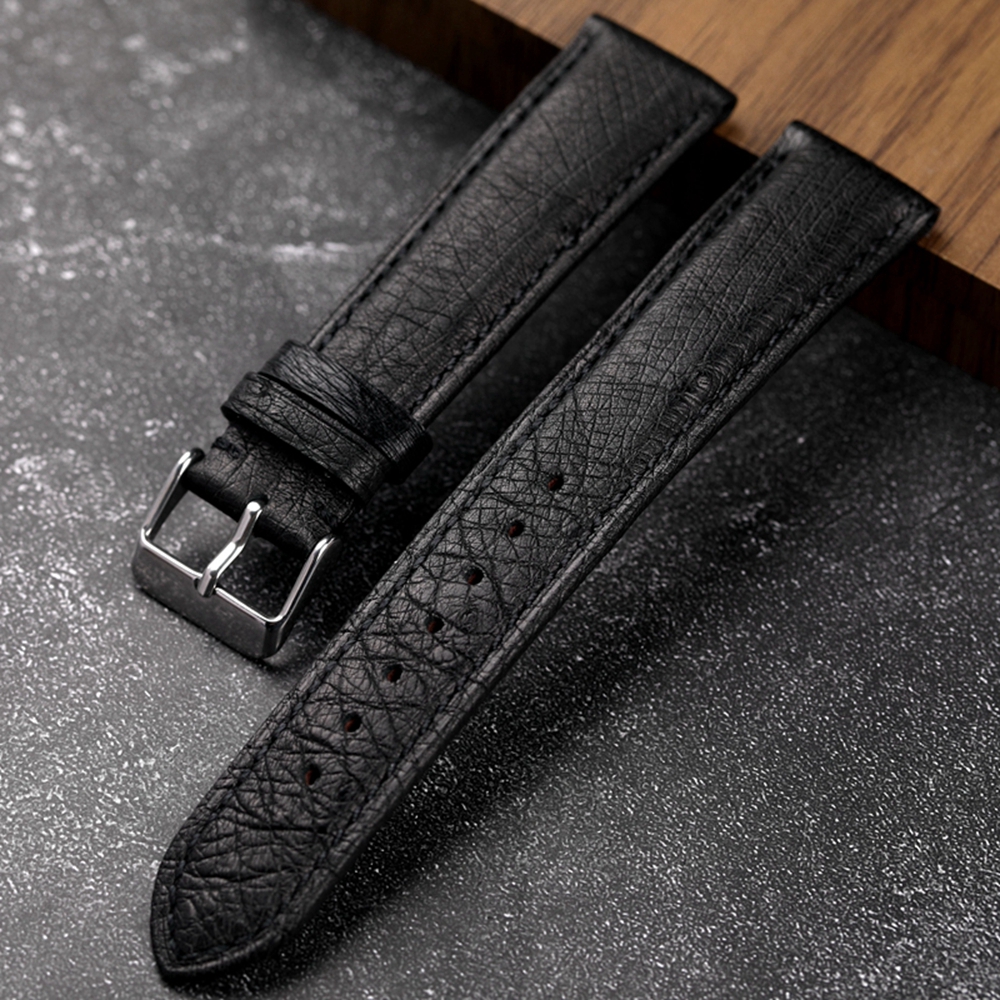 Handmade South African Ostrich - مراجعة Nylon Nato Strap وسعره