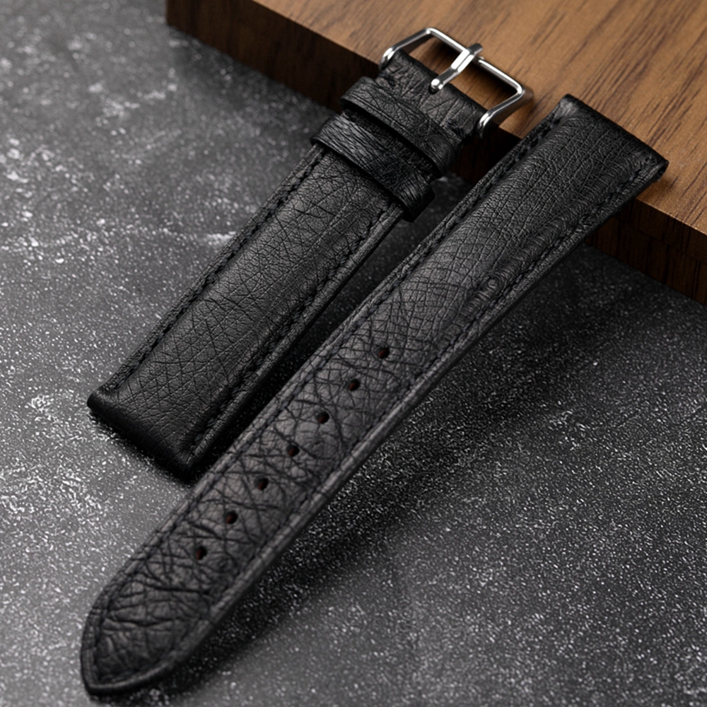 Handmade South African Ostrich - مراجعة Nylon Nato Strap وسعره